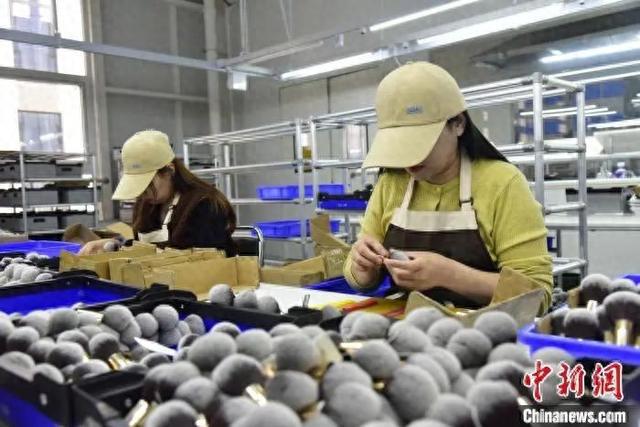 真有“两把刷子”！麻将胡了app沧州(图14)