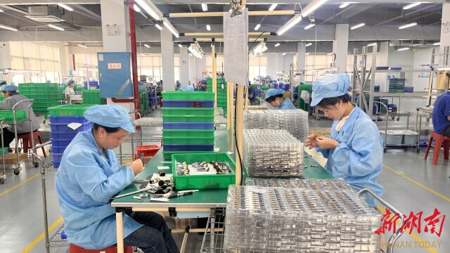 一企业用小小化妆刷“破圈” 湖南日报麻将胡了模拟器试玩从沿海到内陆炎陵(图3)